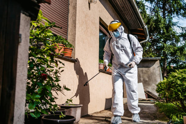 Professional Pest Control in Sallisaw, OK