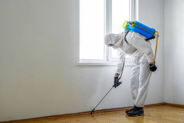 Best Best Pest Control Companies  in Sallisaw, OK